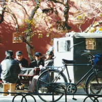 Getting together for a card game, pet birds enjoying some fresh air. Beijing, China 2007